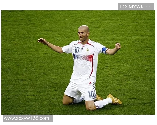 法国足球巨星崛起之路 揭秘顶级球员的成长与荣耀